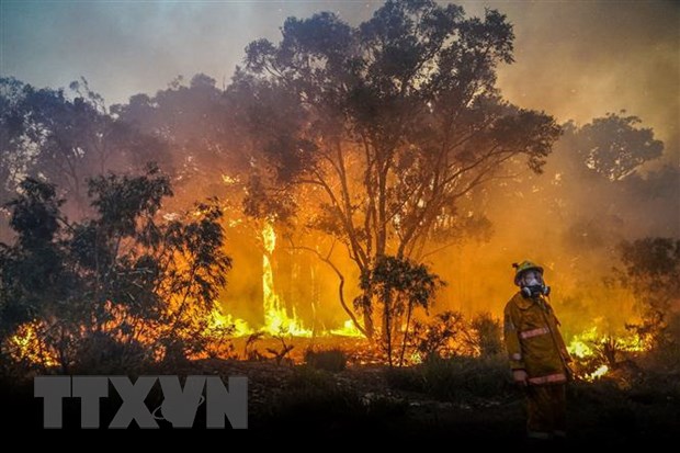 Cháy rừng tại Australia khiến lỗ thủng tầng ozone ở Nam Cực rộng thêm