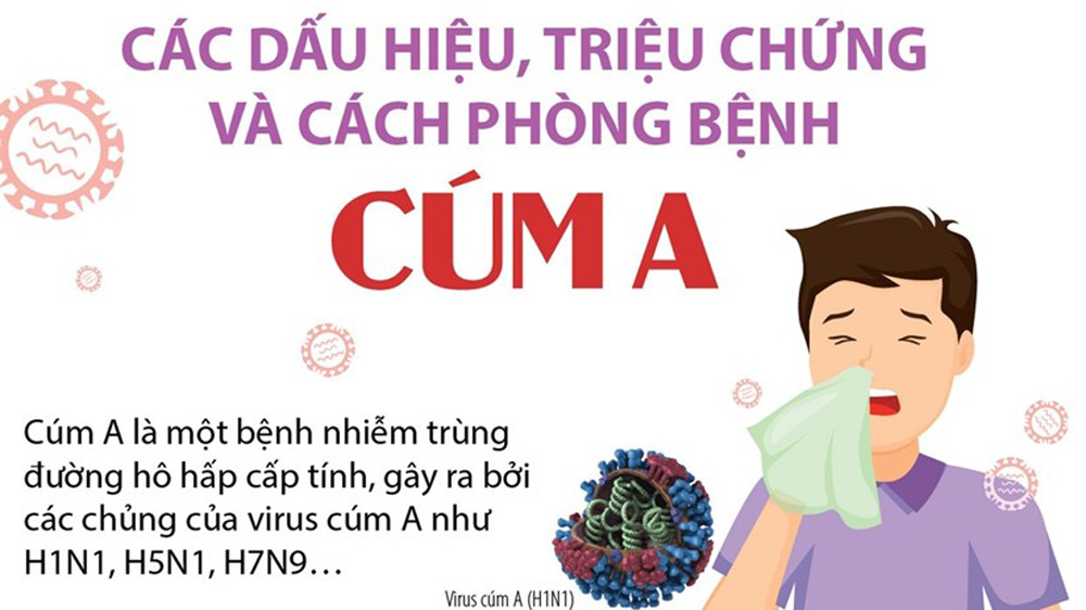 Các dấu hiệu, triệu chứng và cách phòng bệnh cúm A
