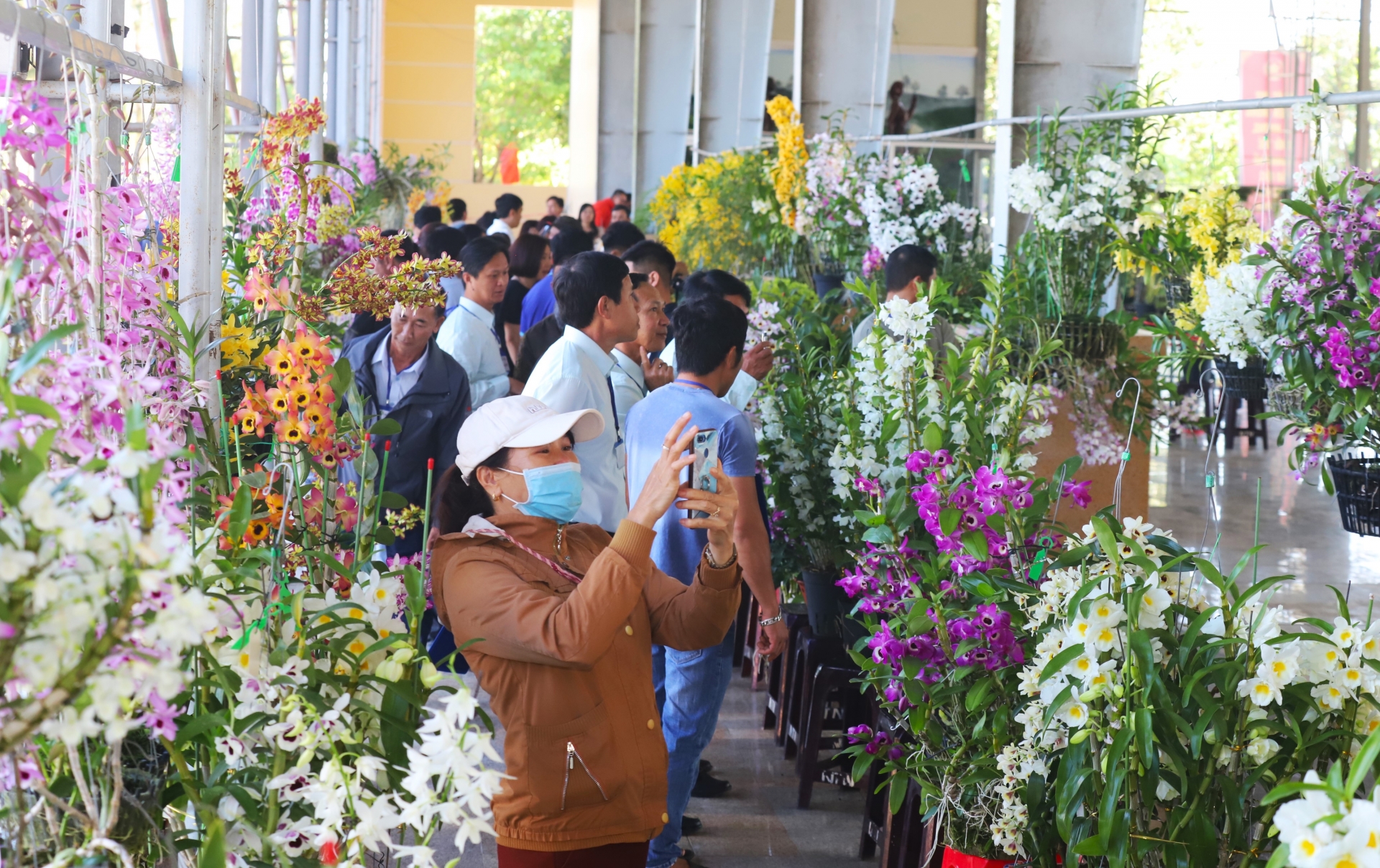 Hội thi hoa lan TP Bảo Lộc lần thứ I