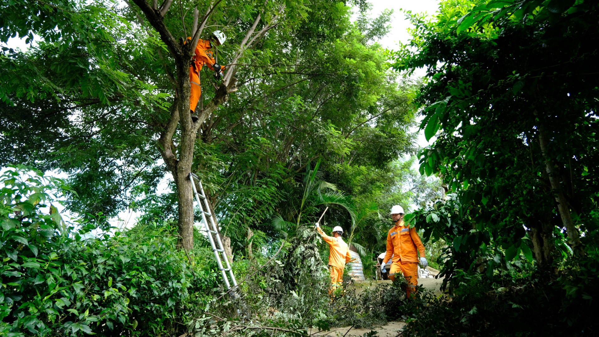 Ngăn ngừa sự cố lưới điện 110 kV trong mùa khô