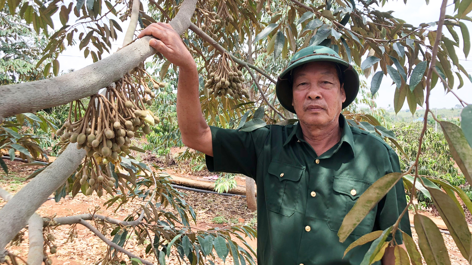 Cựu chiến binh làm giàu trên quê mới