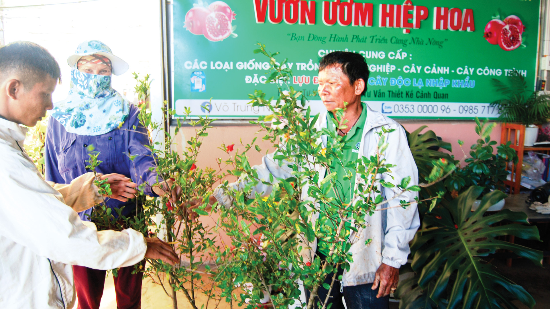 Nâng cao chất lượng xã nông thôn mới kiểu mẫu