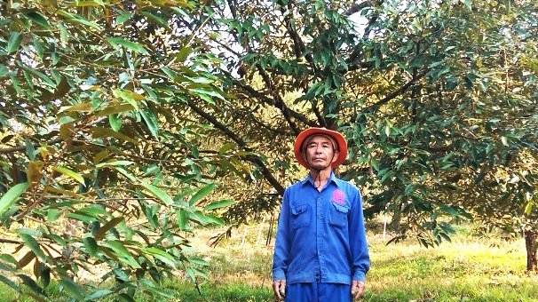 Có công chăm sóc, đất sẽ trả ơn 