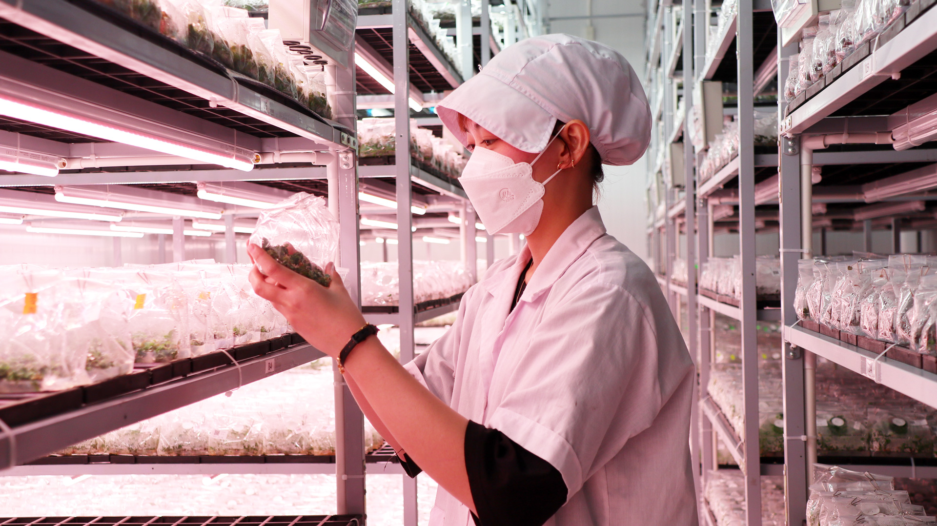 Thành lập công đoàn giúp doanh nghiệp phát triển bền vững