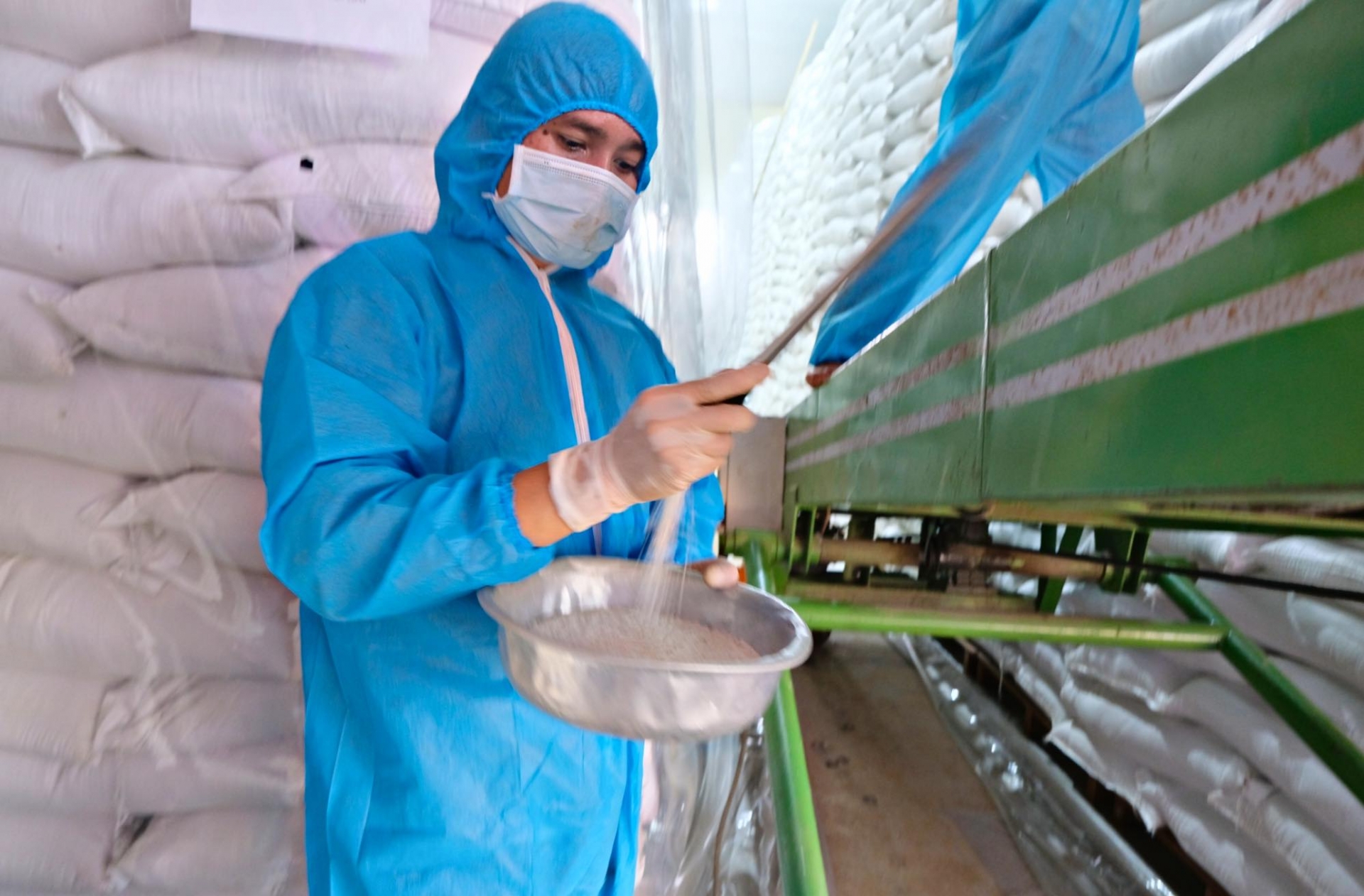 Phân bổ hơn 86 tấn gạo hỗ trợ học sinh học kỳ II