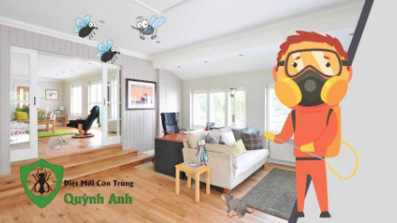 Những phương pháp diệt mối hiệu quả tại quận Hai Bà Trưng