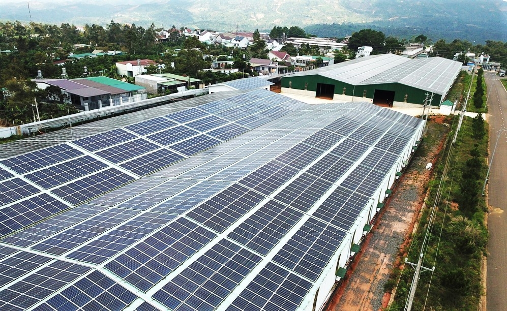 Xây dựng hệ thống điện năng lượng mặt trời không phép, 1 công ty bị phạt 370 triệu đồng