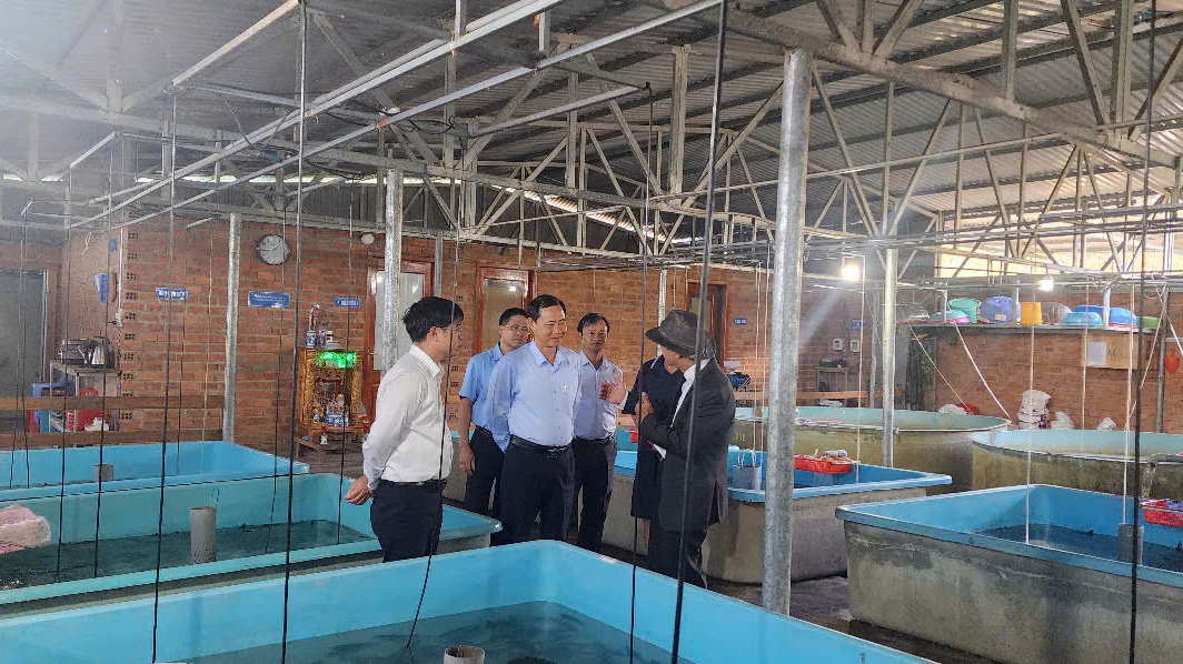 Giải pháp để Đam Rông tăng tốc trong năm 2025