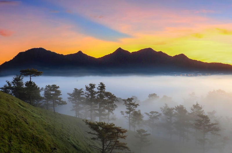 Bình minh ở Đồi trọc