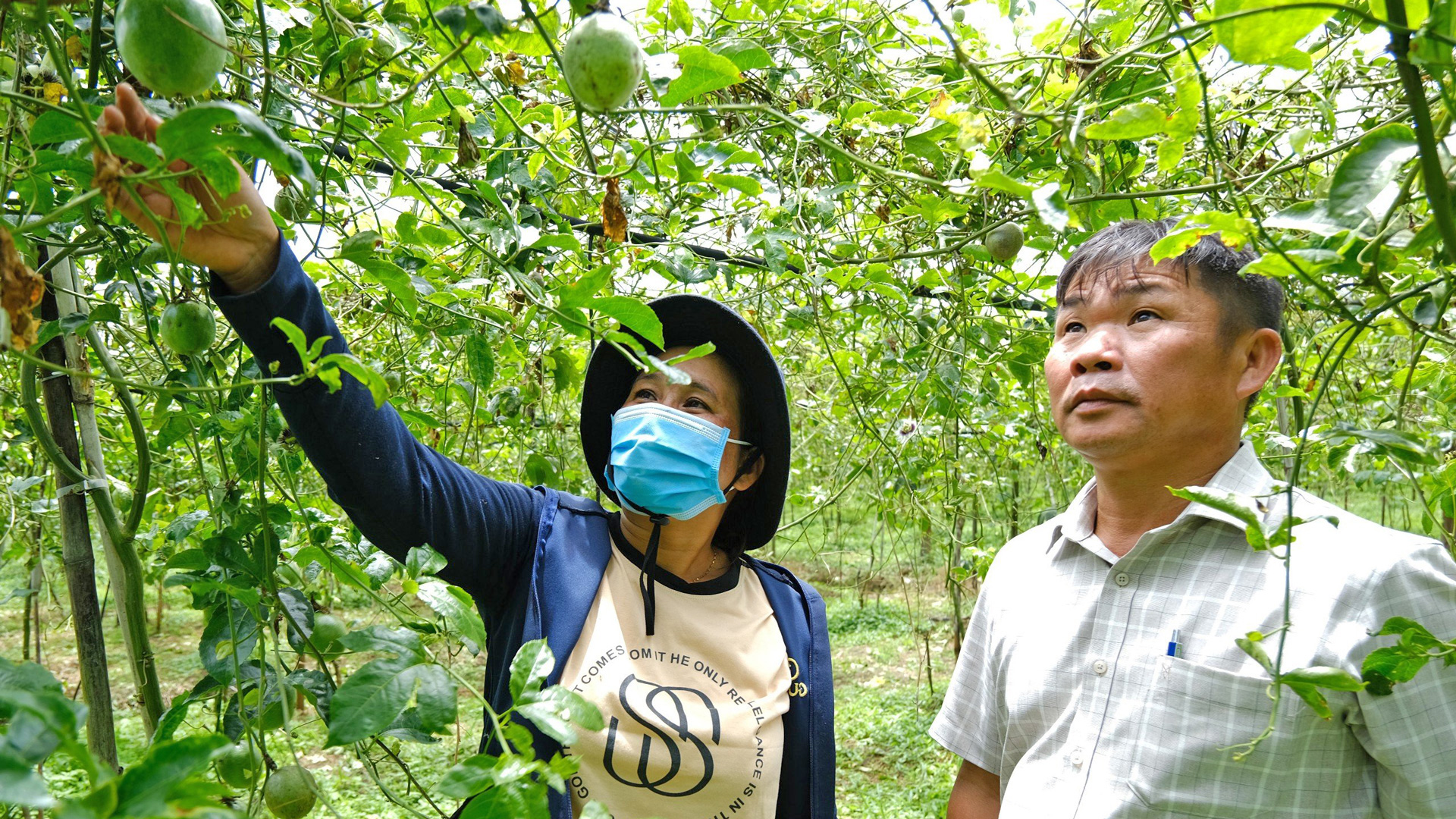 Lâm Hà quan tâm phát triển đảng viên