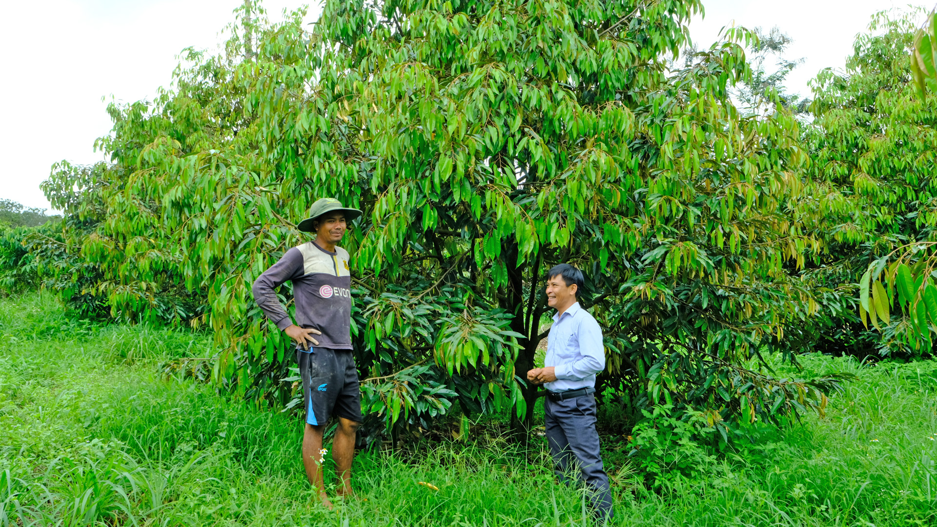 Đào tạo nghề và giải quyết việc làm cho lao động nông thôn