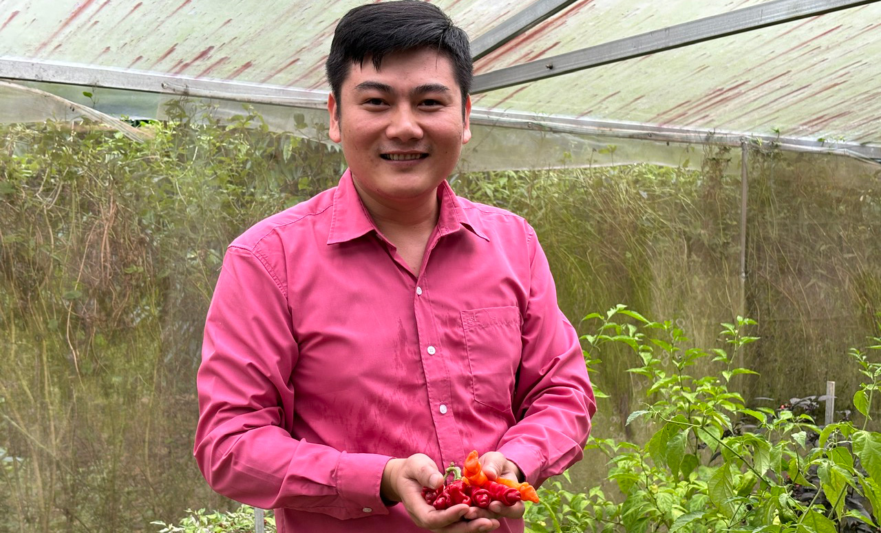 Khởi nghiệp với ớt đặc sản