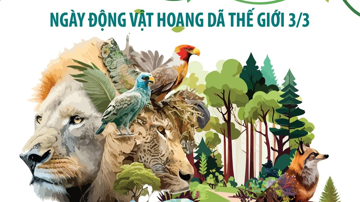 Ngày Động vật hoang dã thế giới 3/3: Những con số báo động