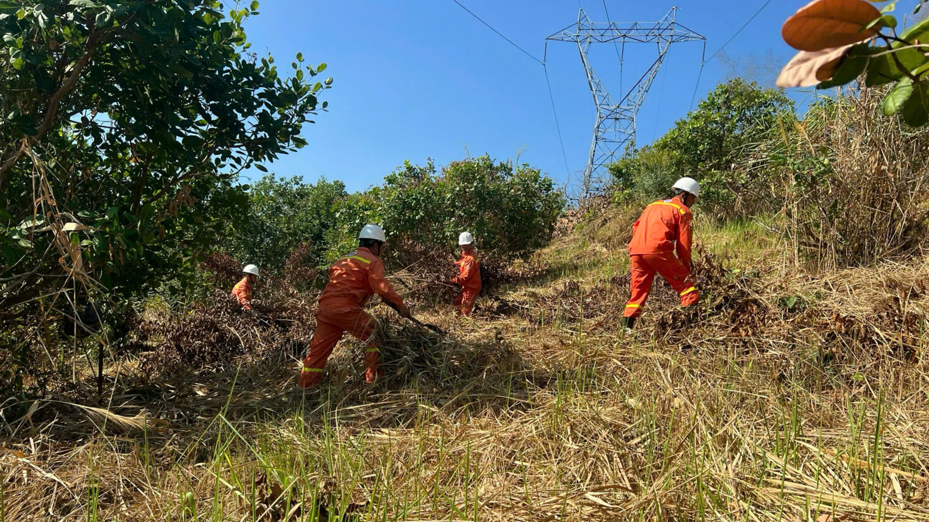Chủ động phòng chống cháy hành lang các đường dây truyền tải điện mùa khô