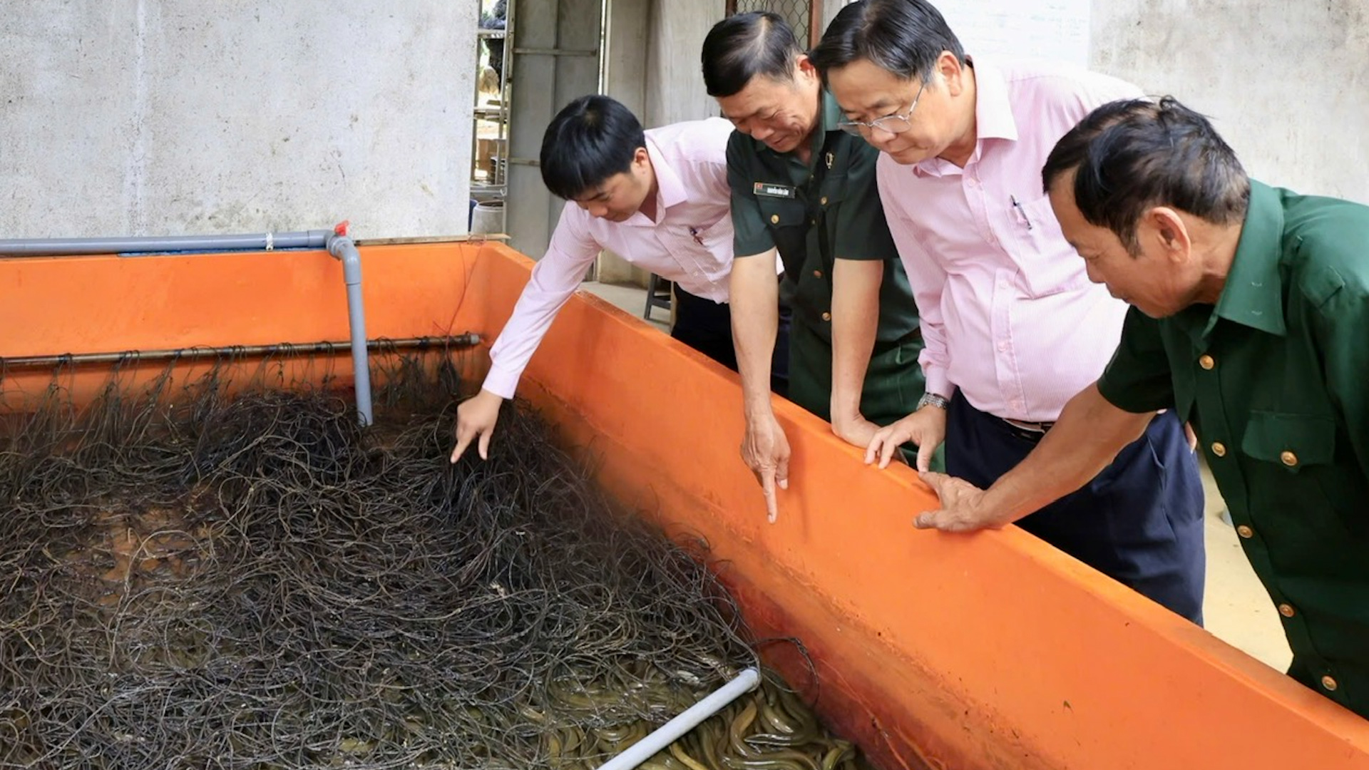 Chất lính trong tư duy kinh tế của các cựu chiến binh