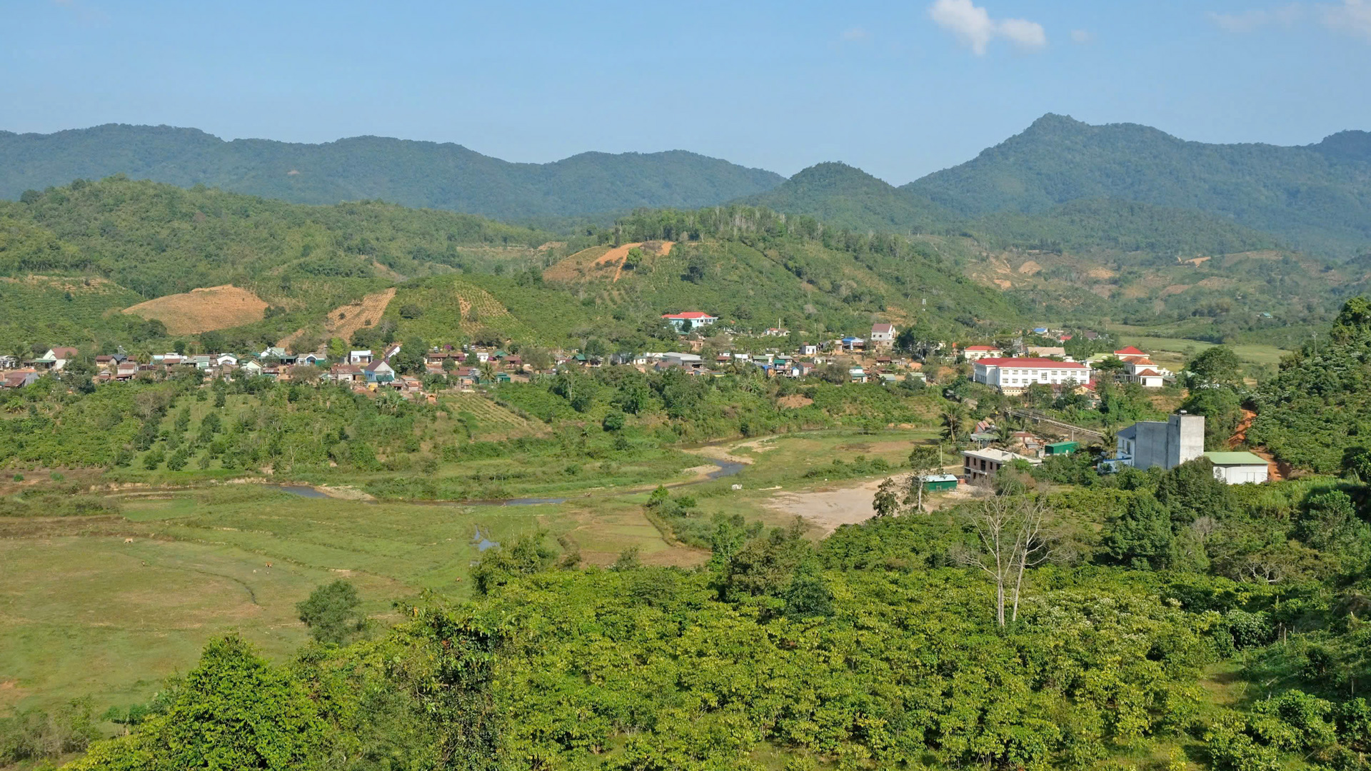 Xanh trên vùng căn cứ