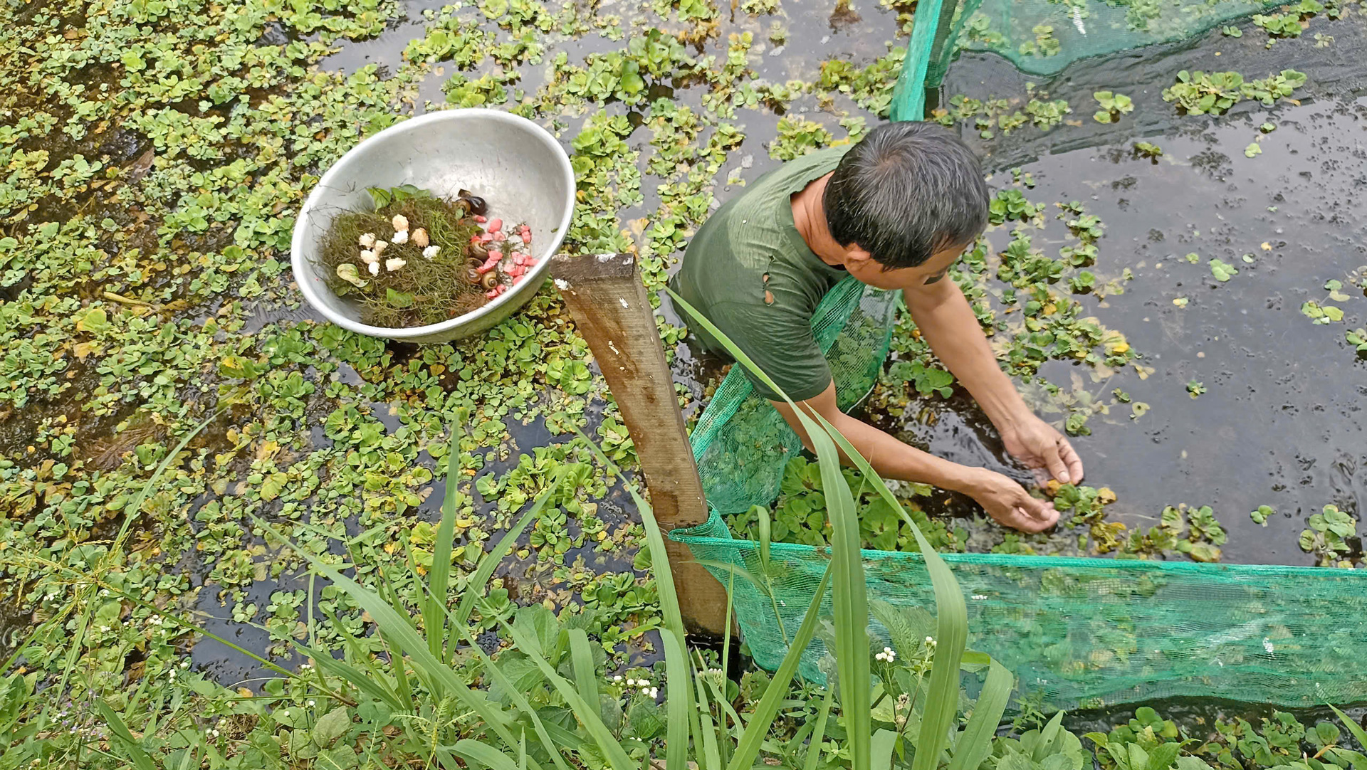 Đẩy mạnh công tác khuyến nông, chuyển giao khoa học, kỹ thuật