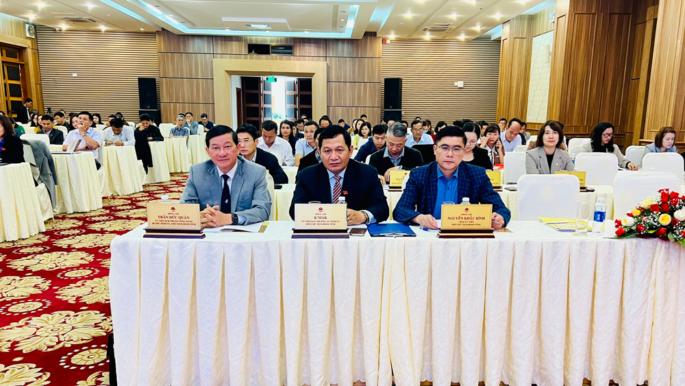 Bồi dưỡng kỹ năng đại biểu HĐND tỉnh