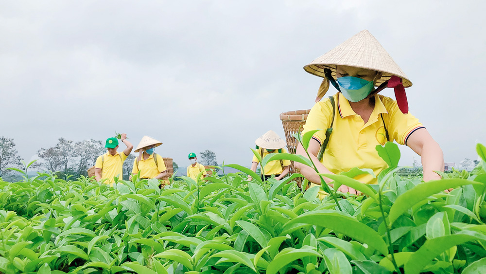 Doanh nghiệp vì người lao động - người lao động vì doanh nghiệp