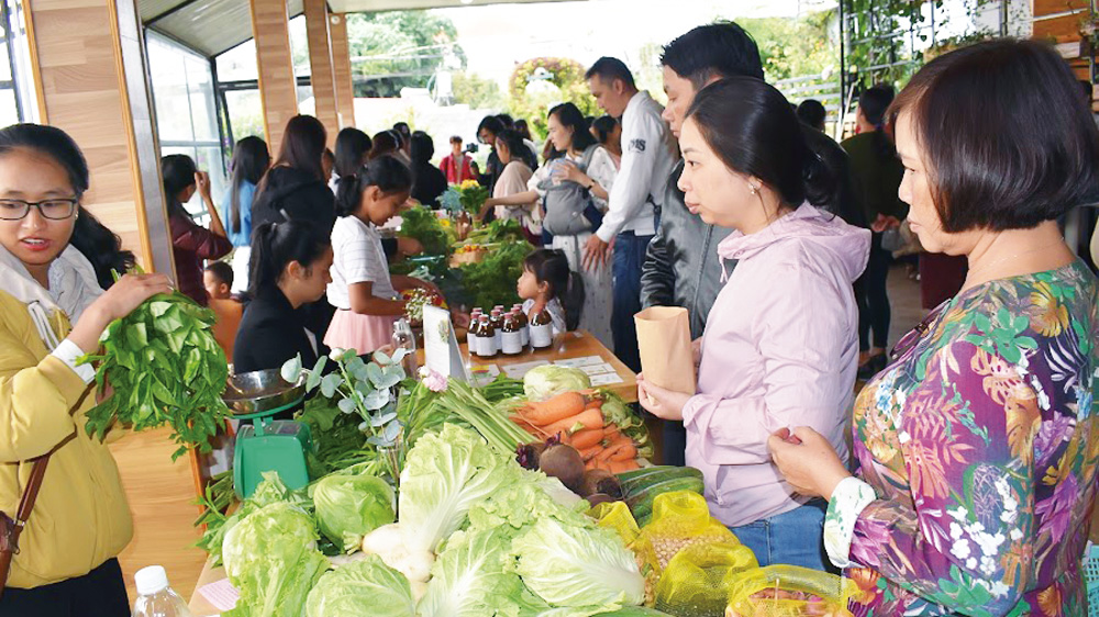 Trước 3 chữ ''biến'' - kiến tạo thế nào?