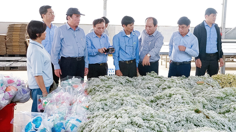 Trước 3 chữ ''biến'' - kiến tạo thế nào? (bài cuối)