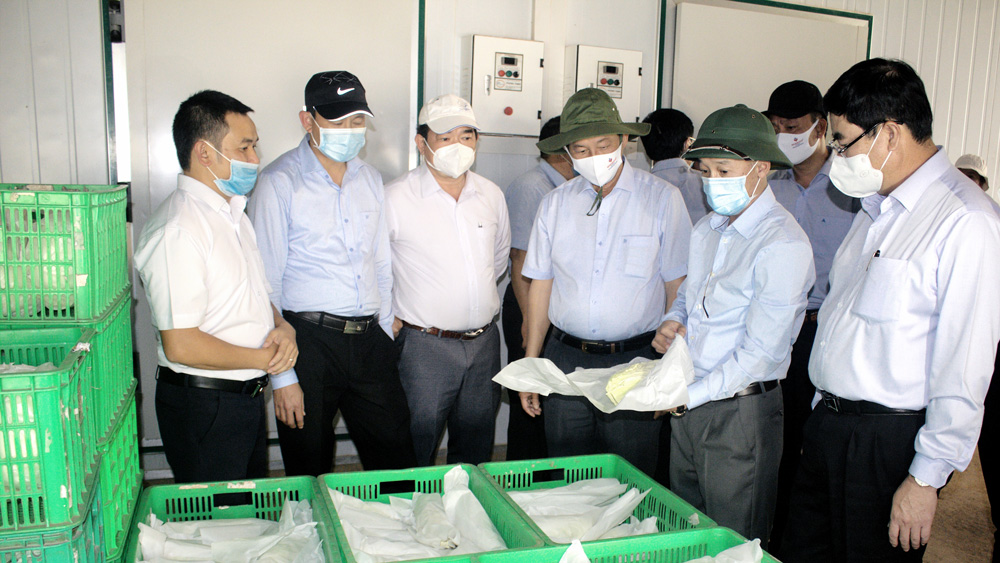 Định hướng phát triển công nghiệp - tiểu thủ công nghiệp ở Đơn Dương