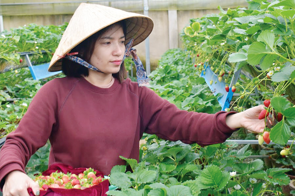 Tam nông nhìn đến năm 2030
