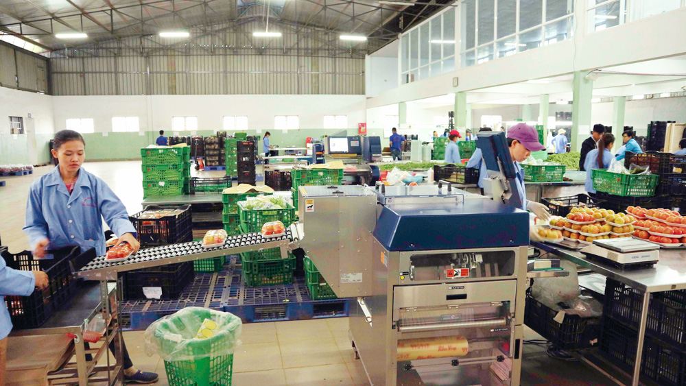 Hiệu quả từ công tác hỗ trợ khuyến công có thu hồi kinh phí