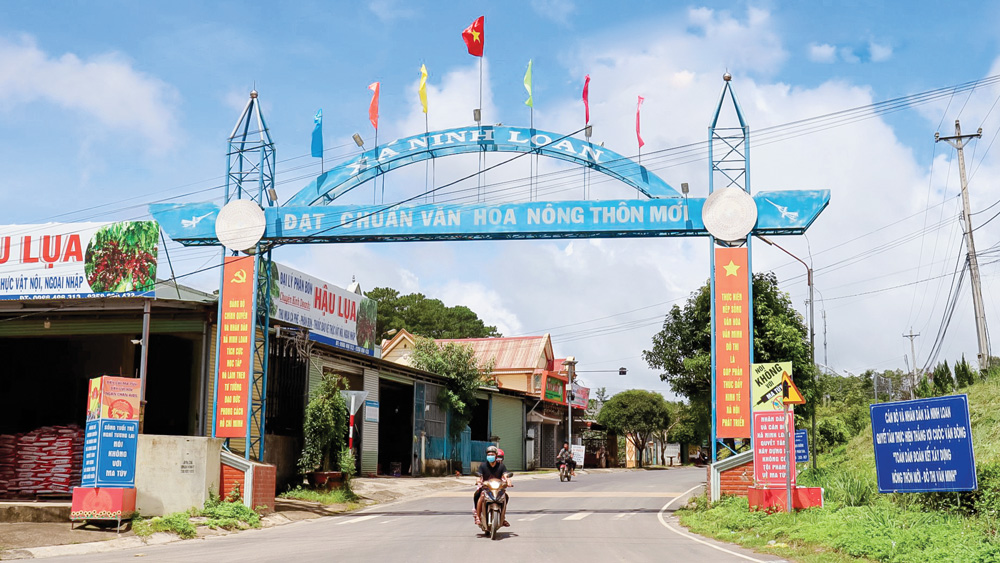 Ninh Loan - đơn vị dẫn đầu phong trào thi đua khối xã