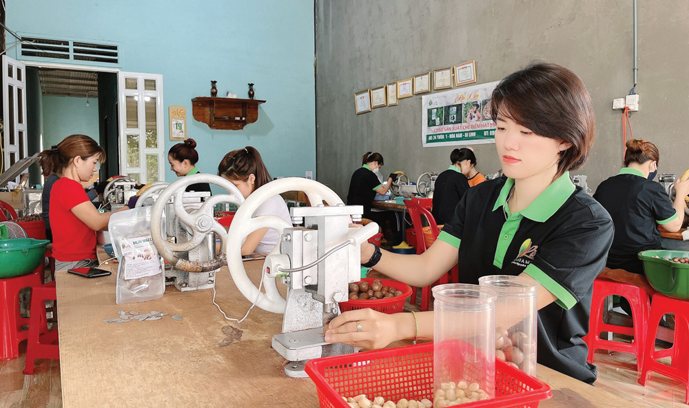 Macca DiLin của Út