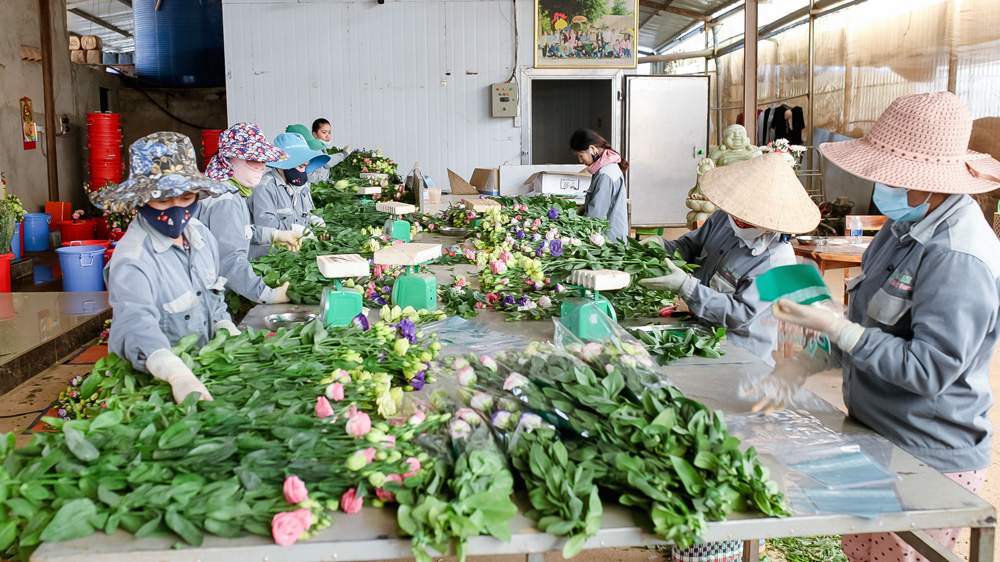 Lạc Dương: Đẩy mạnh công tác đào tạo nghề và phát triển giáo dục nghề nghiệp