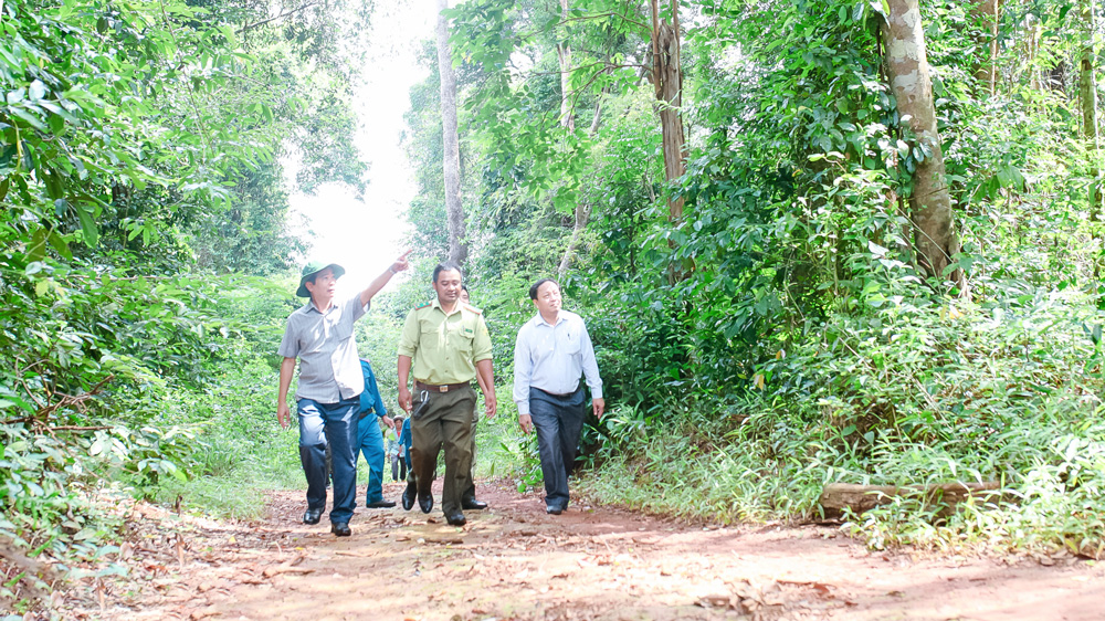 Đạ Tẻh: Nhiều cách làm hay trong Phong trào thi đua “Toàn dân tham gia quản lý, bảo vệ và phát triển rừng”