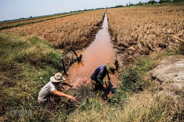 CHỈ ĐẠO, QUYẾT ĐỊNH CỦA CHÍNH PHỦ - THỦ TƯỚNG CHÍNH PHỦ: Thủ tướng chỉ thị tăng cường phòng, chống nắng nóng, hạn hán, thiếu nước, xâm nhập mặn