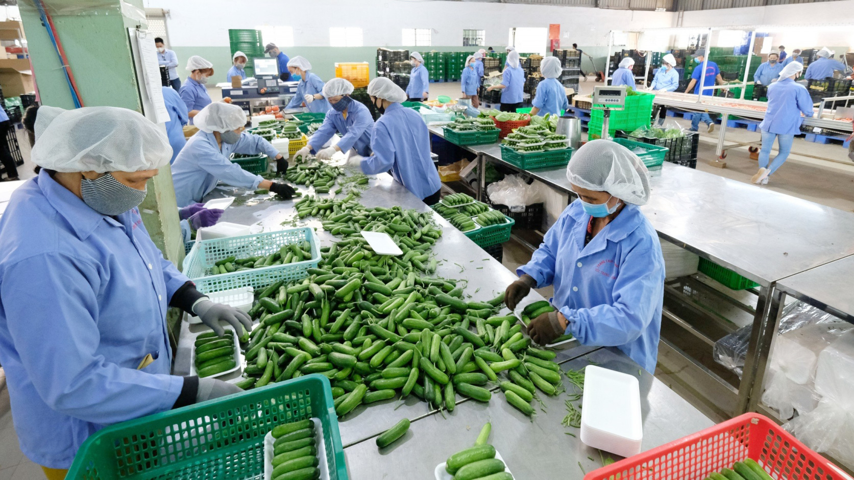 Những giải pháp đột phá để ngành nông nghiệp Lâm Đồng chủ động thích ứng biến đổi khí hậu, tham gia chuỗi giá trị nông sản toàn cầu