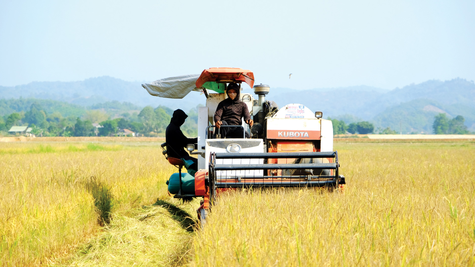 Trên những nẻo quê nông thôn mới kiểu mẫu