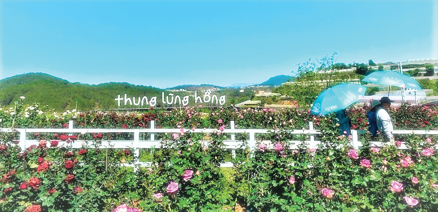 Phố núi check in trên từng bước chân du khách