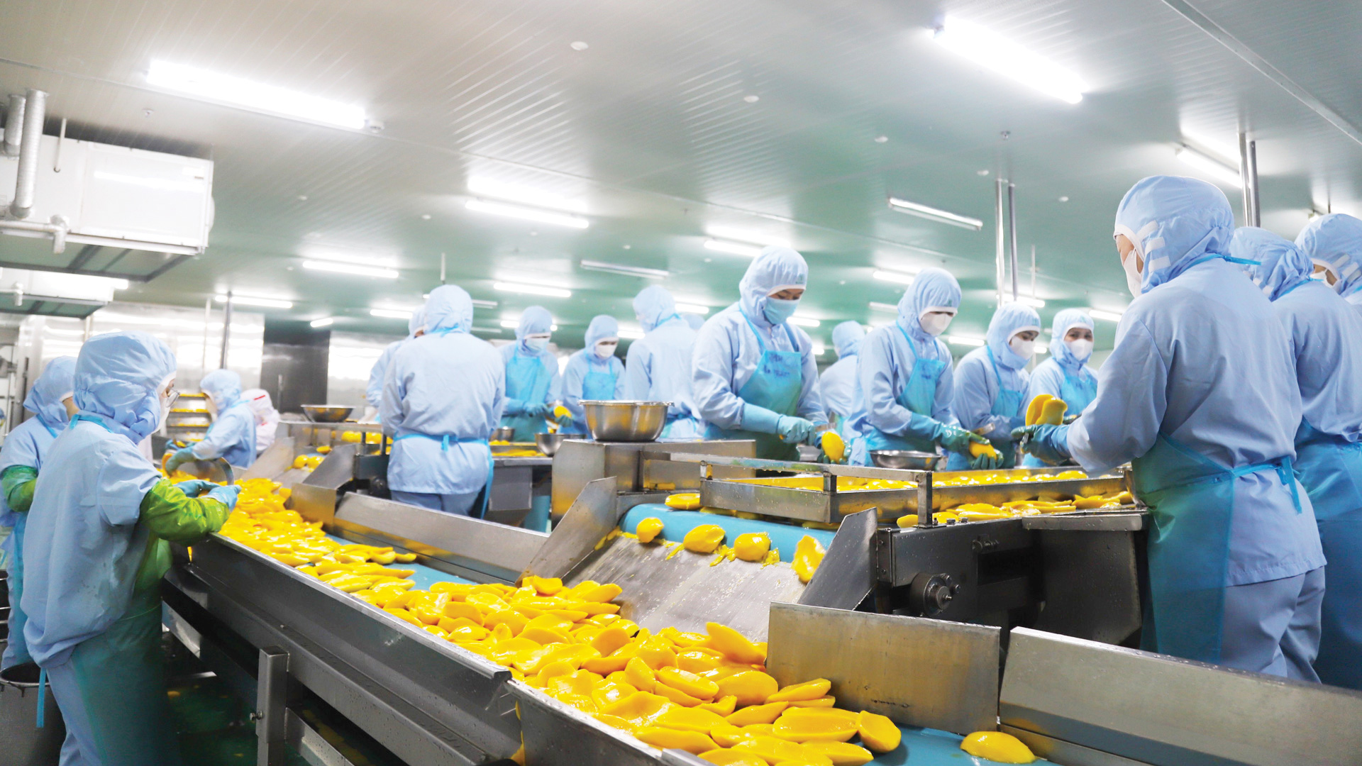 Tập trung các giải pháp thu ngân sách