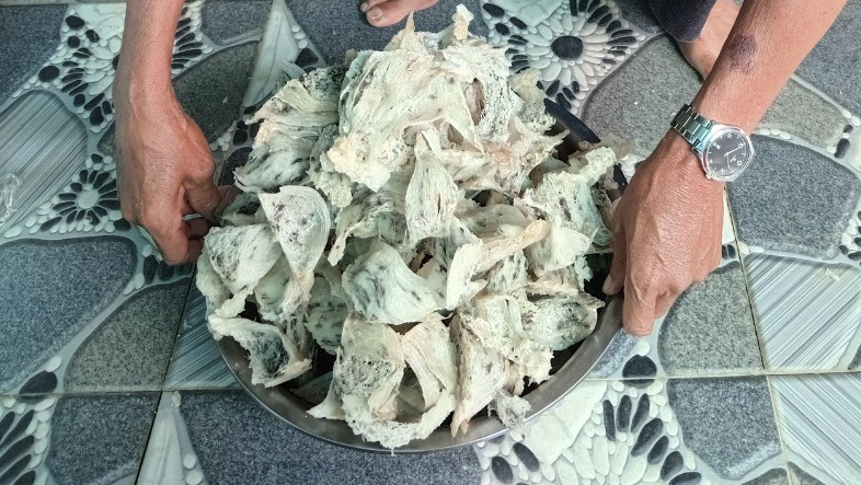 Làng nuôi yến ở Đại Lào