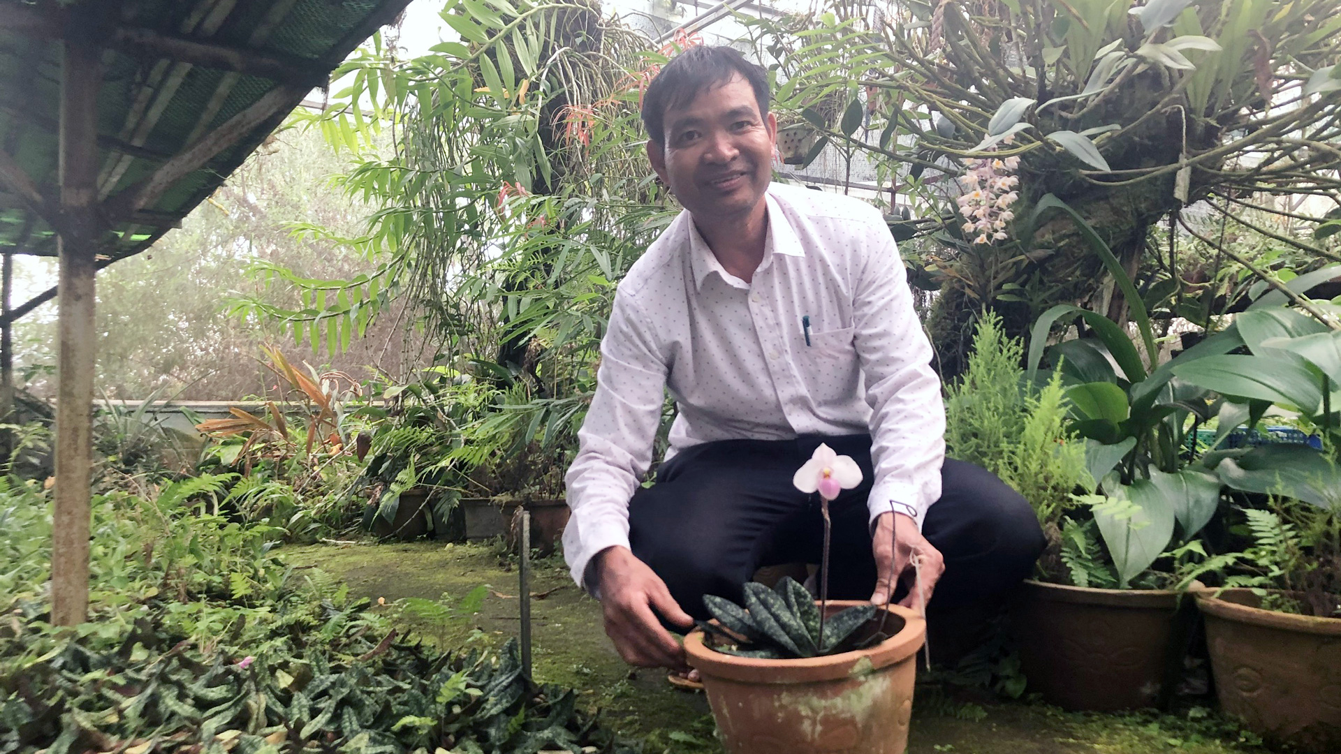 Bảo tồn lan rừng cho đa dạng sinh học