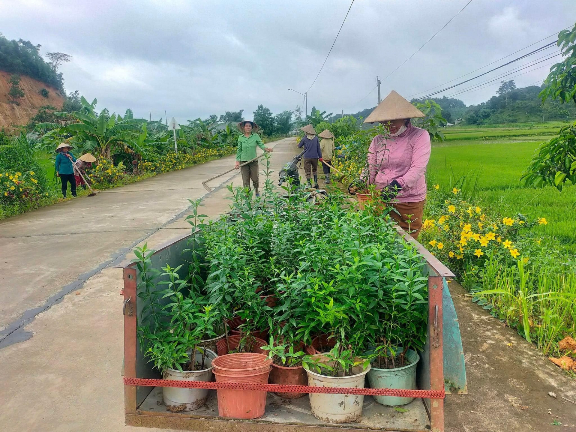 Quy định tiêu chí, định mức phân bổ vốn sự nghiệp thực hiện Chương trình mục tiêu quốc gia xây dựng nông thôn mới