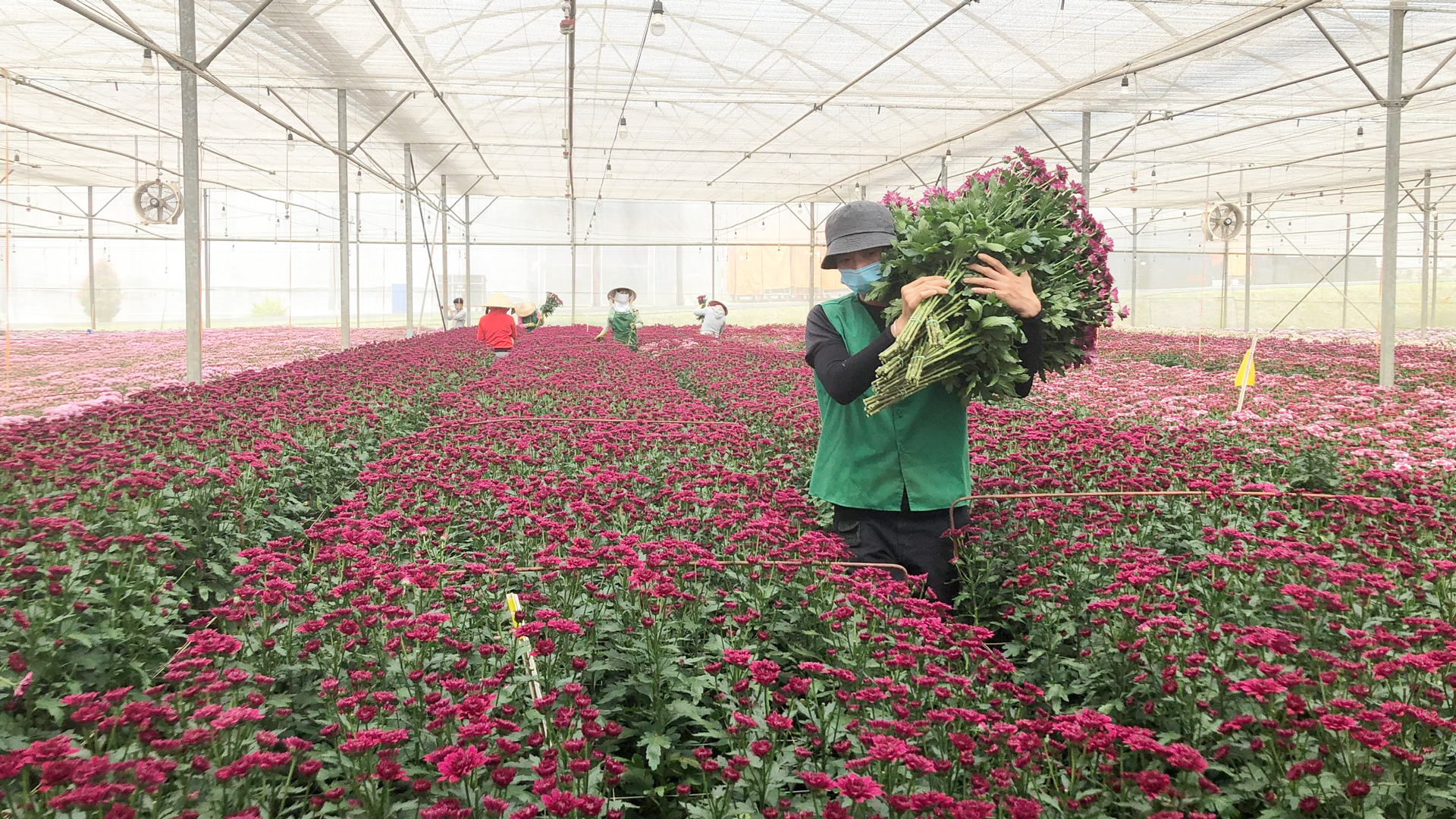 ĐẨY MẠNH CUỘC VẬN ĐỘNG “NGƯỜI VIỆT NAM ƯU TIÊN DÙNG HÀNG VIỆT NAM”: Đồng hành đưa nông sản địa phương vươn xa