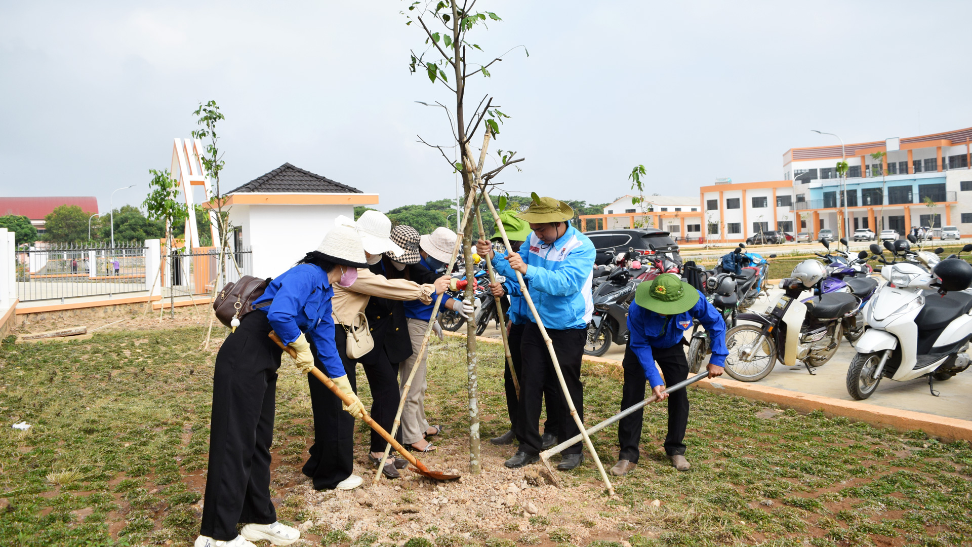 Đức Trọng nỗ lực bảo vệ và phát triển "lá phổi xanh"