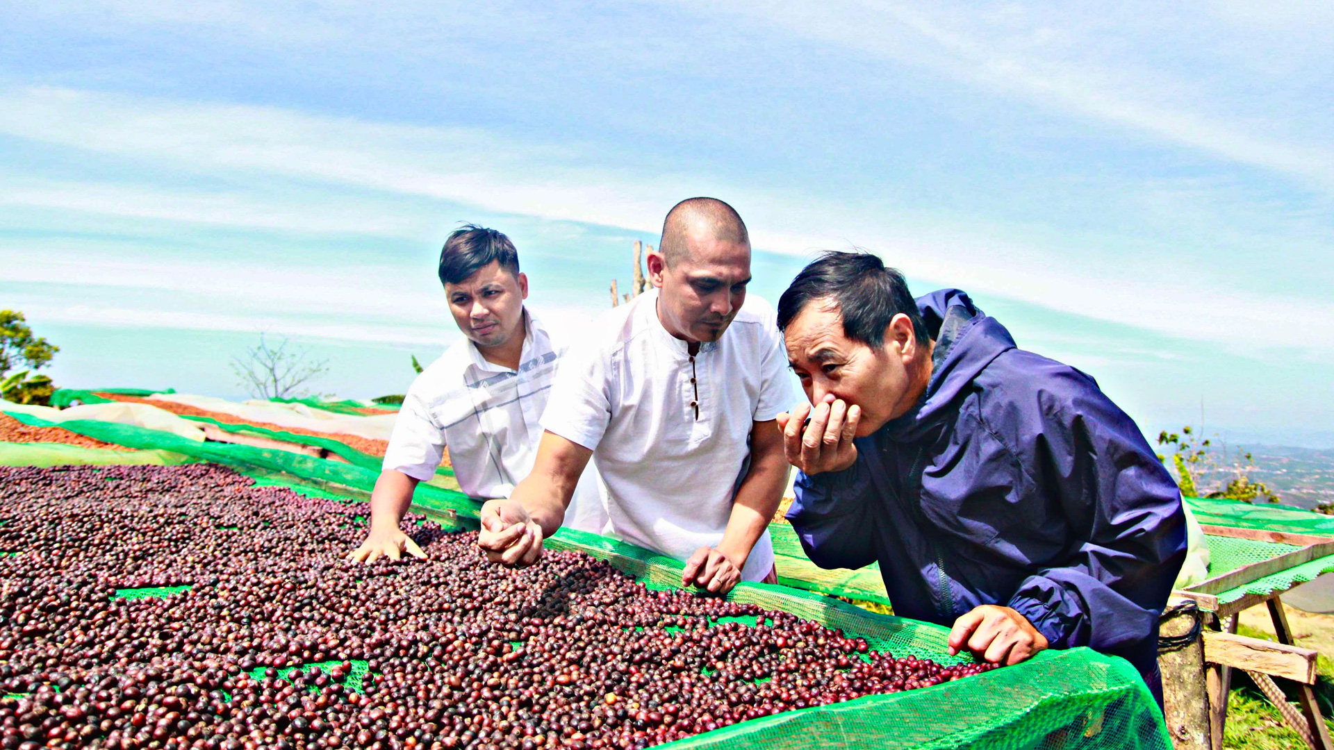 Nâng cao năng lực xuất khẩu cà phê