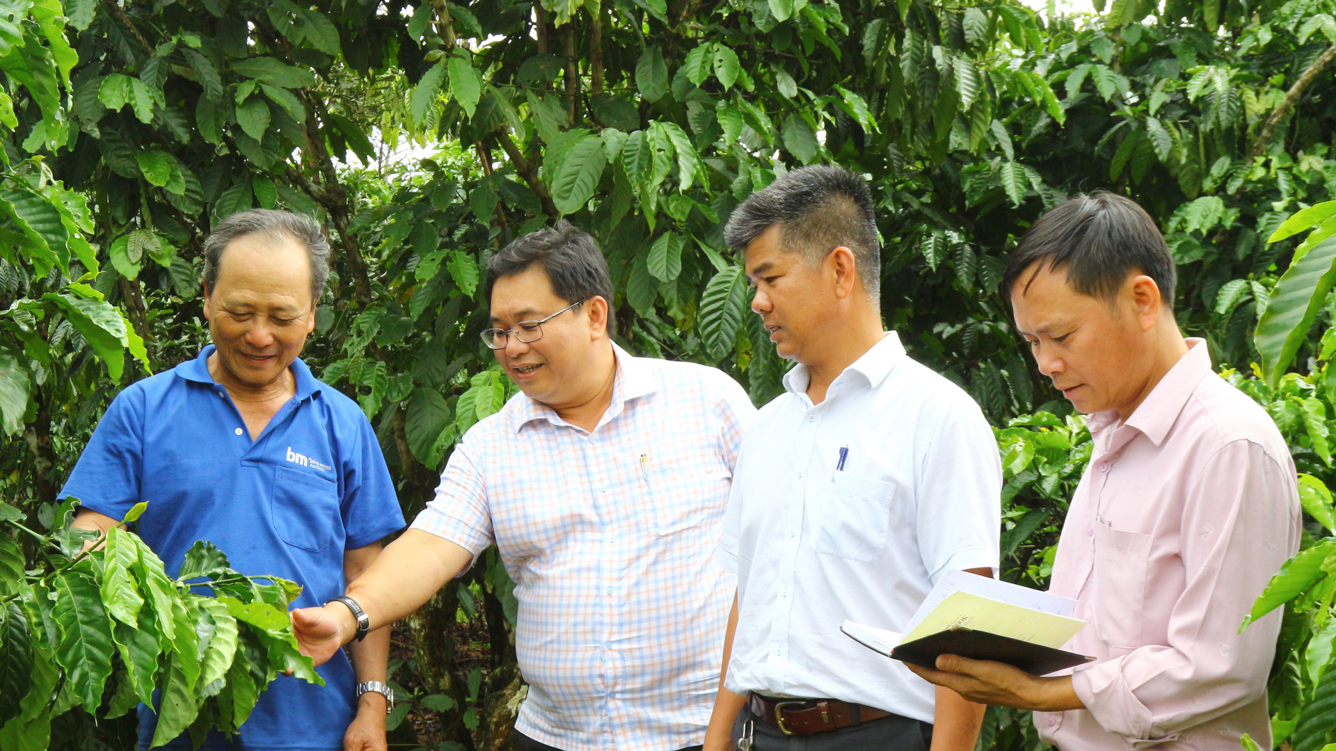 Về vùng cà phê công nghệ cao 