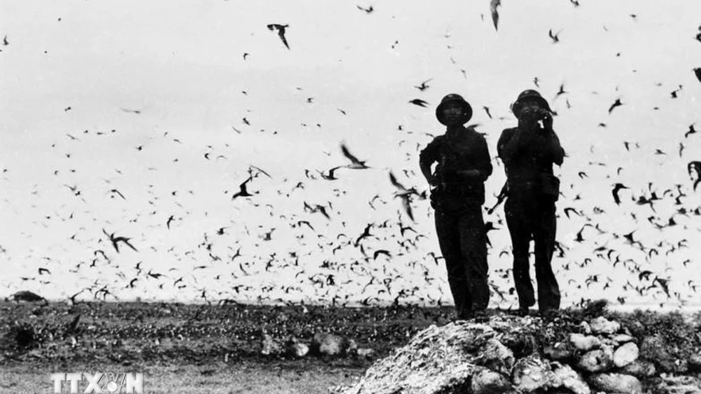 50 năm thống nhất đất nước-Ngày 29/4/1975: Giải phóng quần đảo Trường Sa