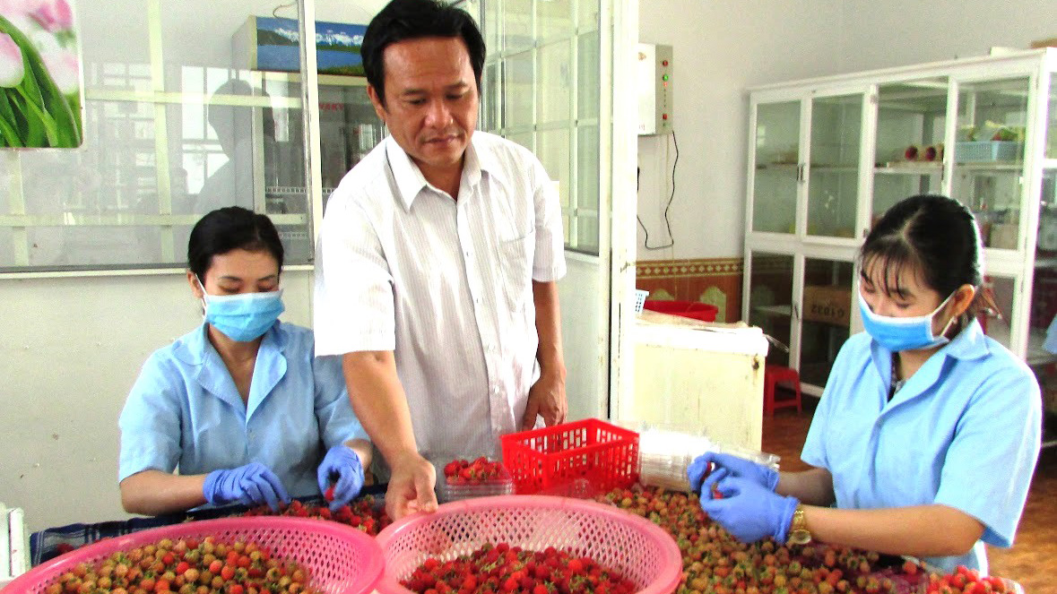 Hội Nông dân chú trọng phát triển kinh tế tập thể