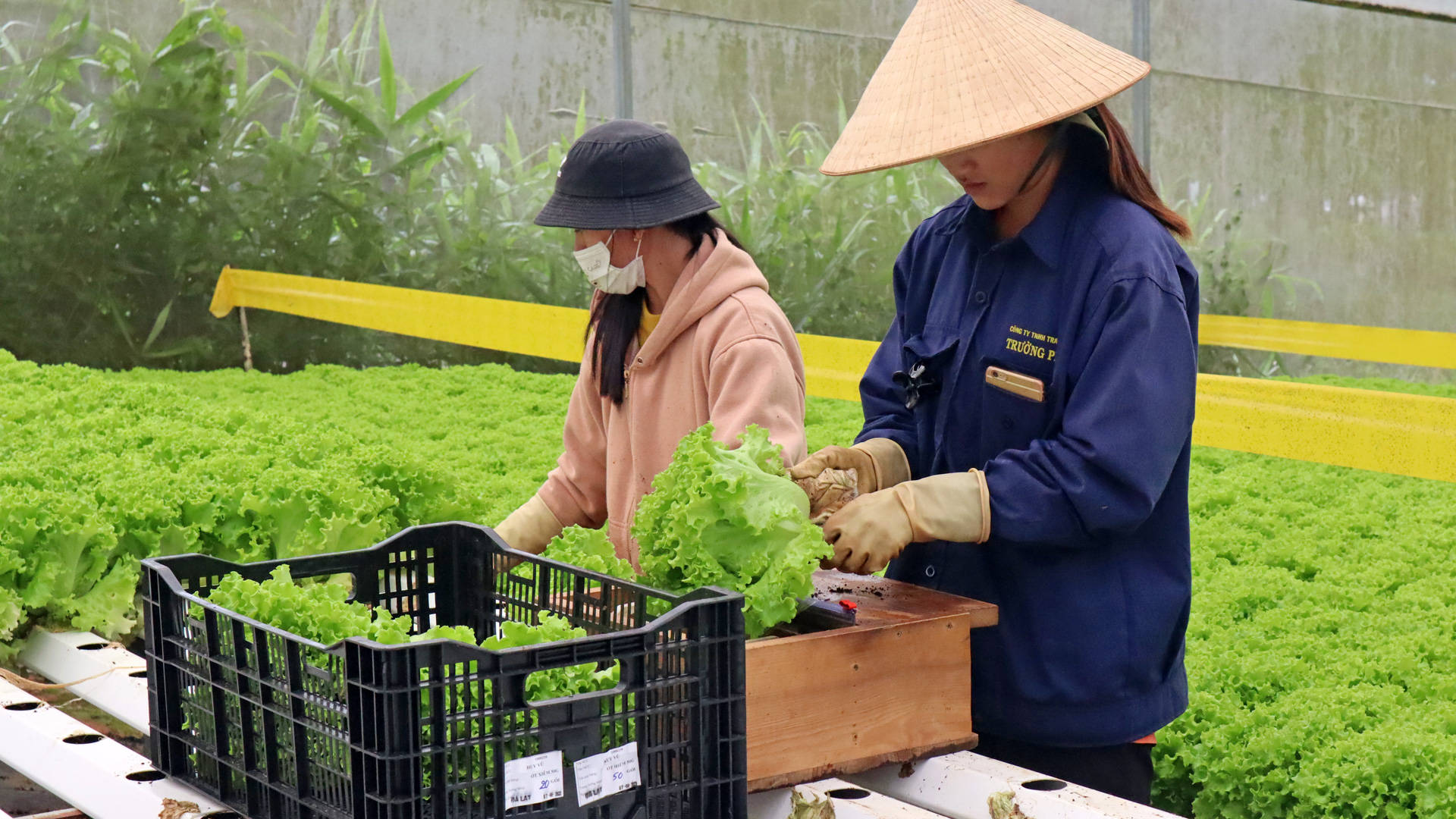 Đẩy mạnh đưa sản phẩm OCOP lên sàn thương mại điện tử