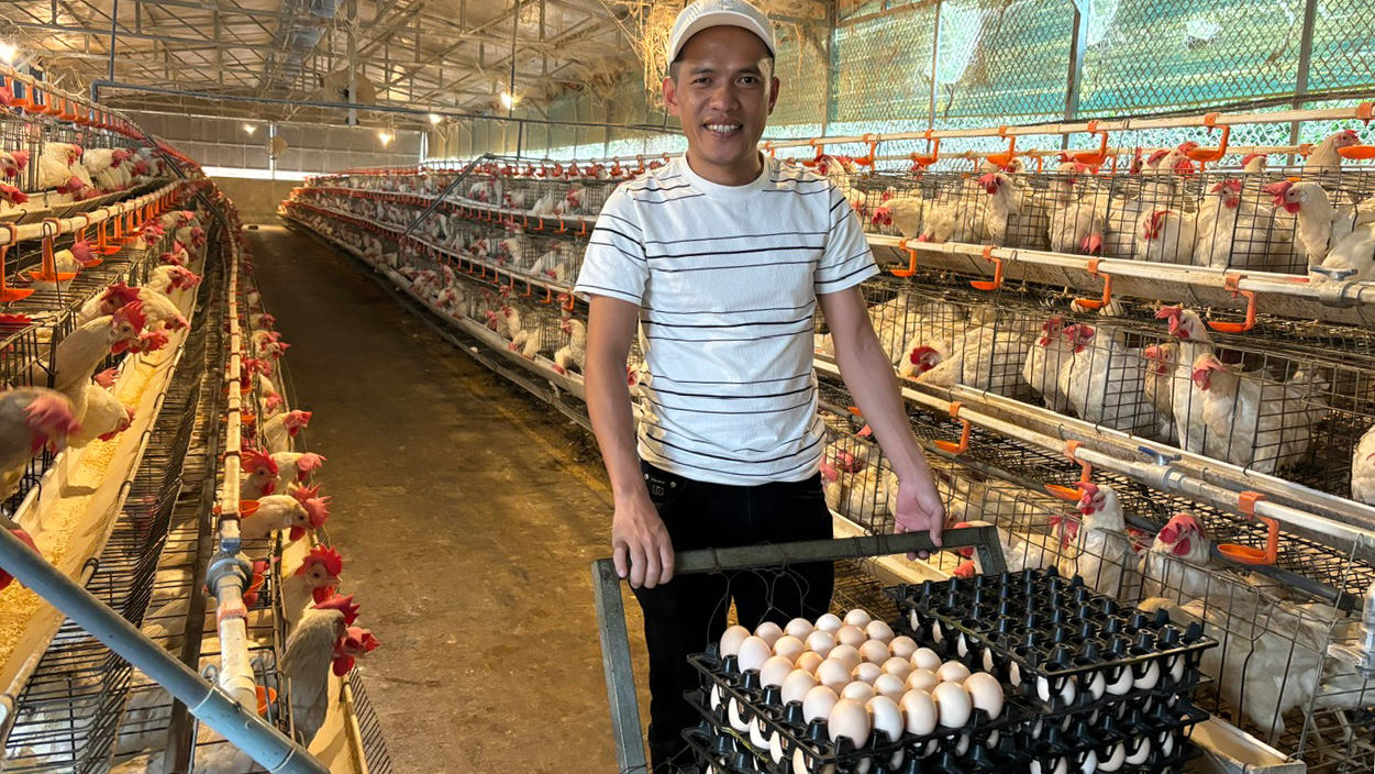Liên kết với nông dân sản xuất trứng OCOP
