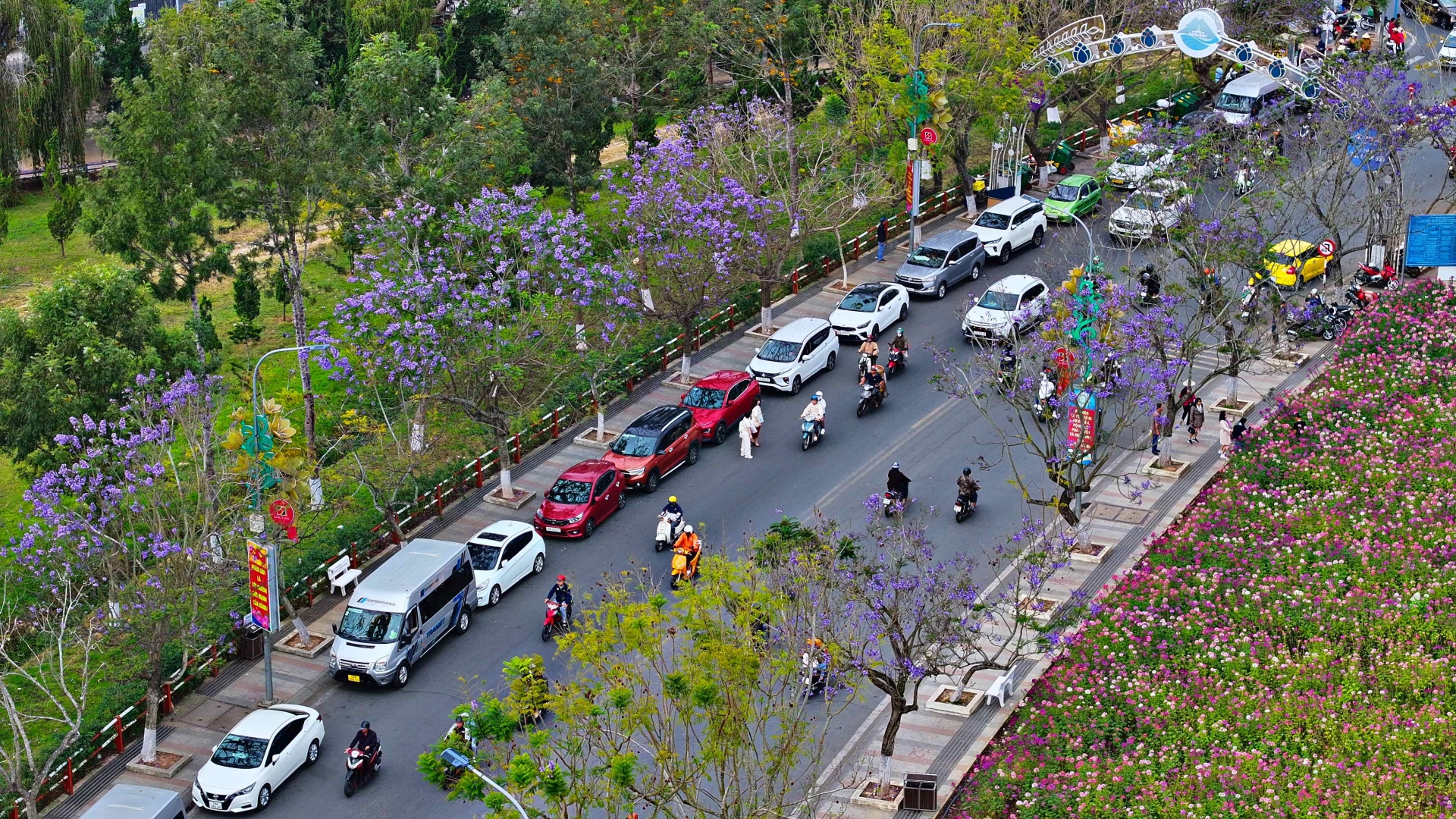 Gam màu tháng Tư Đà Lạt