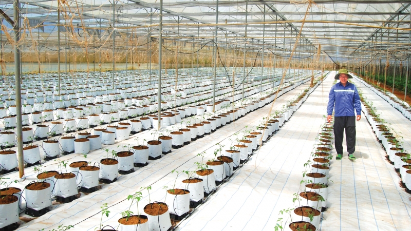 Chuyển đổi số, đổi mới sáng tạo ở huyện Đơn Dương
